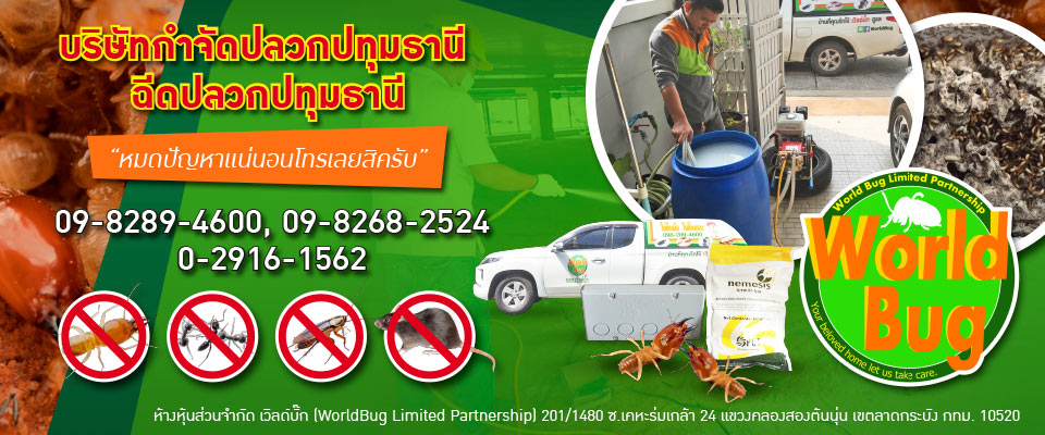 บริษัทกำจัดปลวกปทุมธานี ฉีดปลวกปทุมธานี เวิลด์บั๊ก