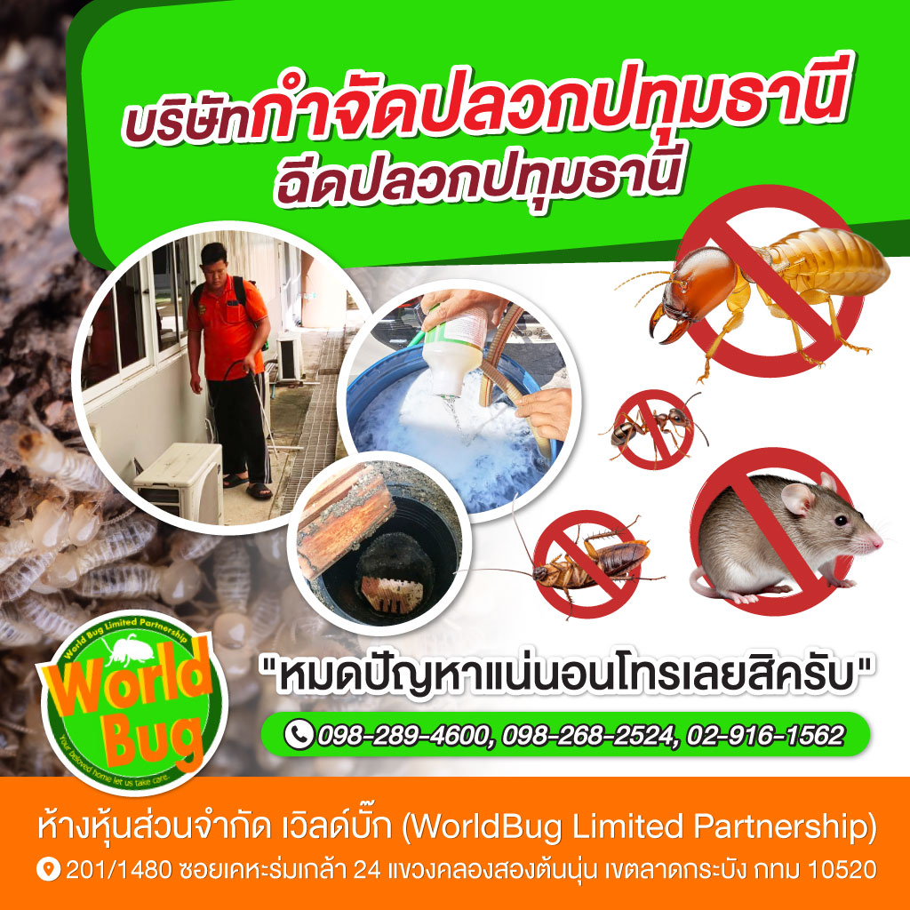 กำจัดปลวกปทุมธานี